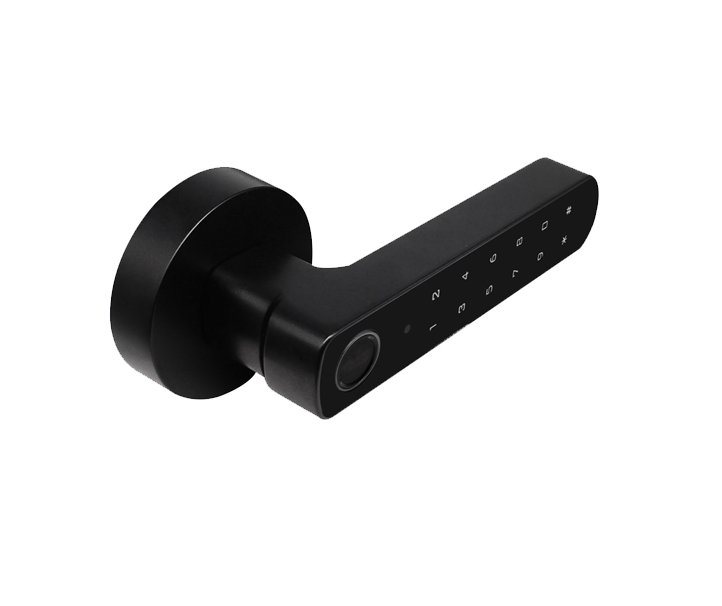 CERRADURA BLUETOOTH BIOM/PIN D100-BT BLACK SECUKEY